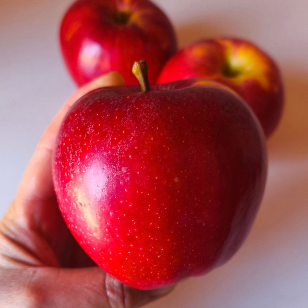 Manzana Fresca Dosal apples maçã