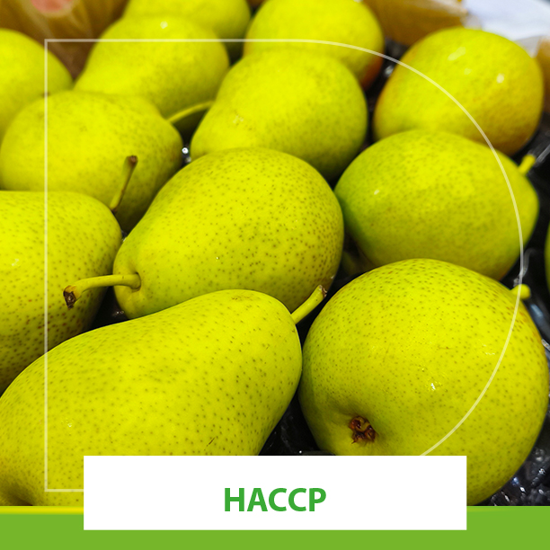 Certificación haccp dosal
