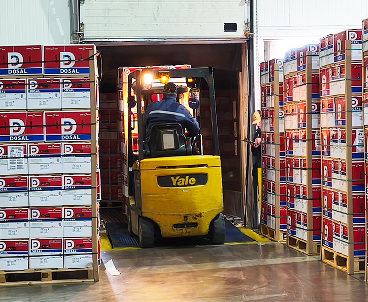 exportacion de fruta de chille