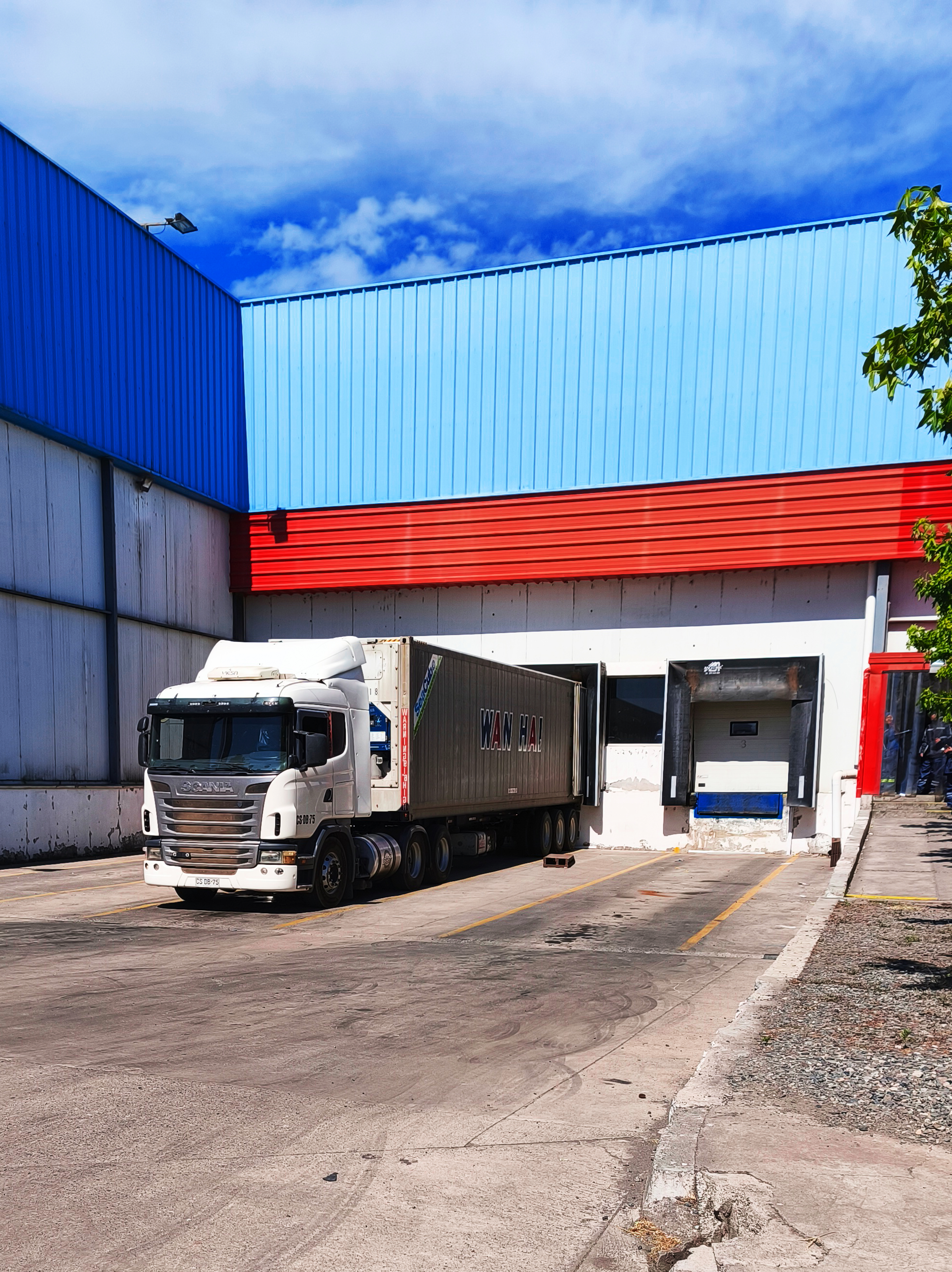 Zona de despacho dosal