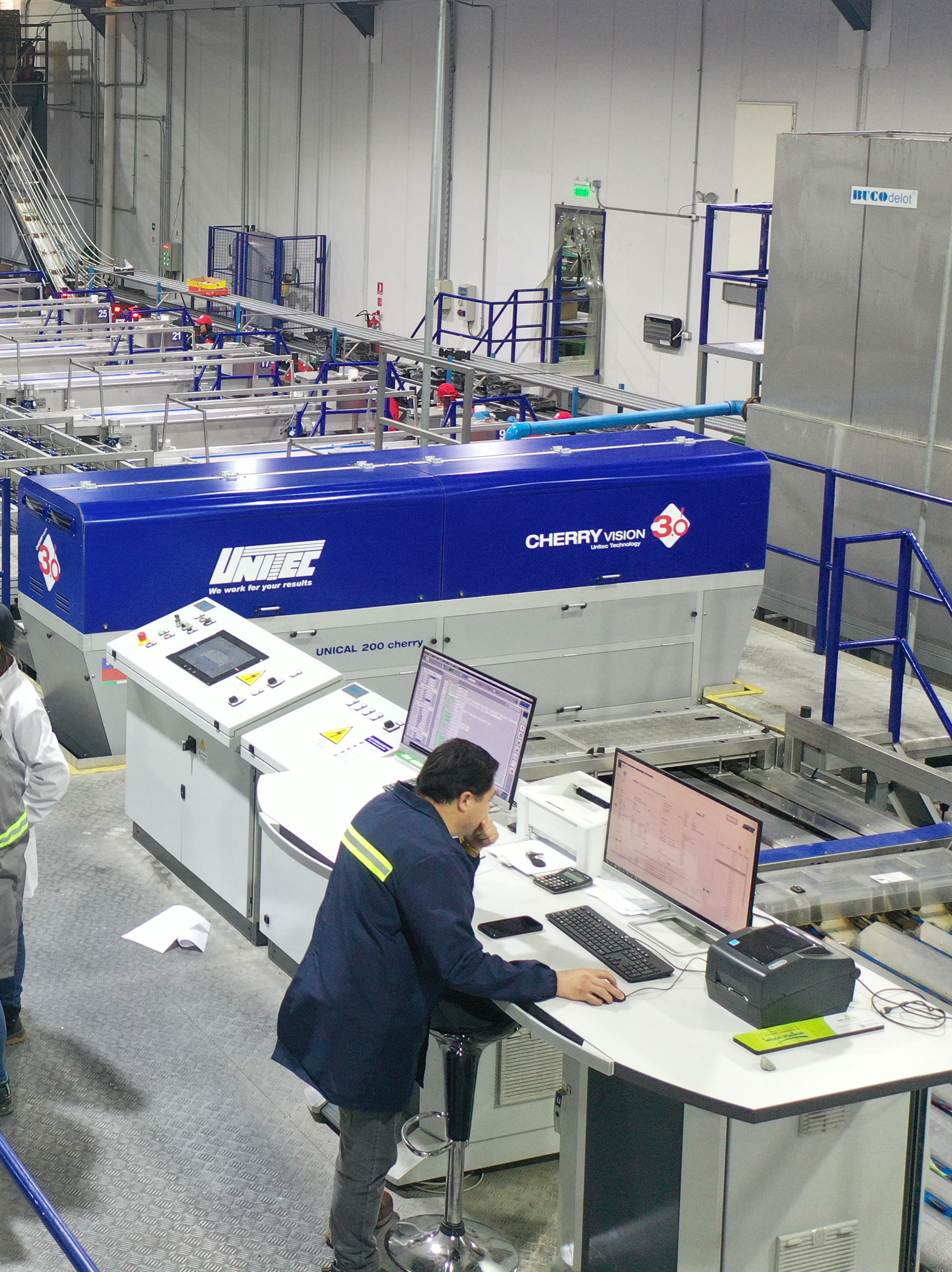 Packing cerezas dosal premium