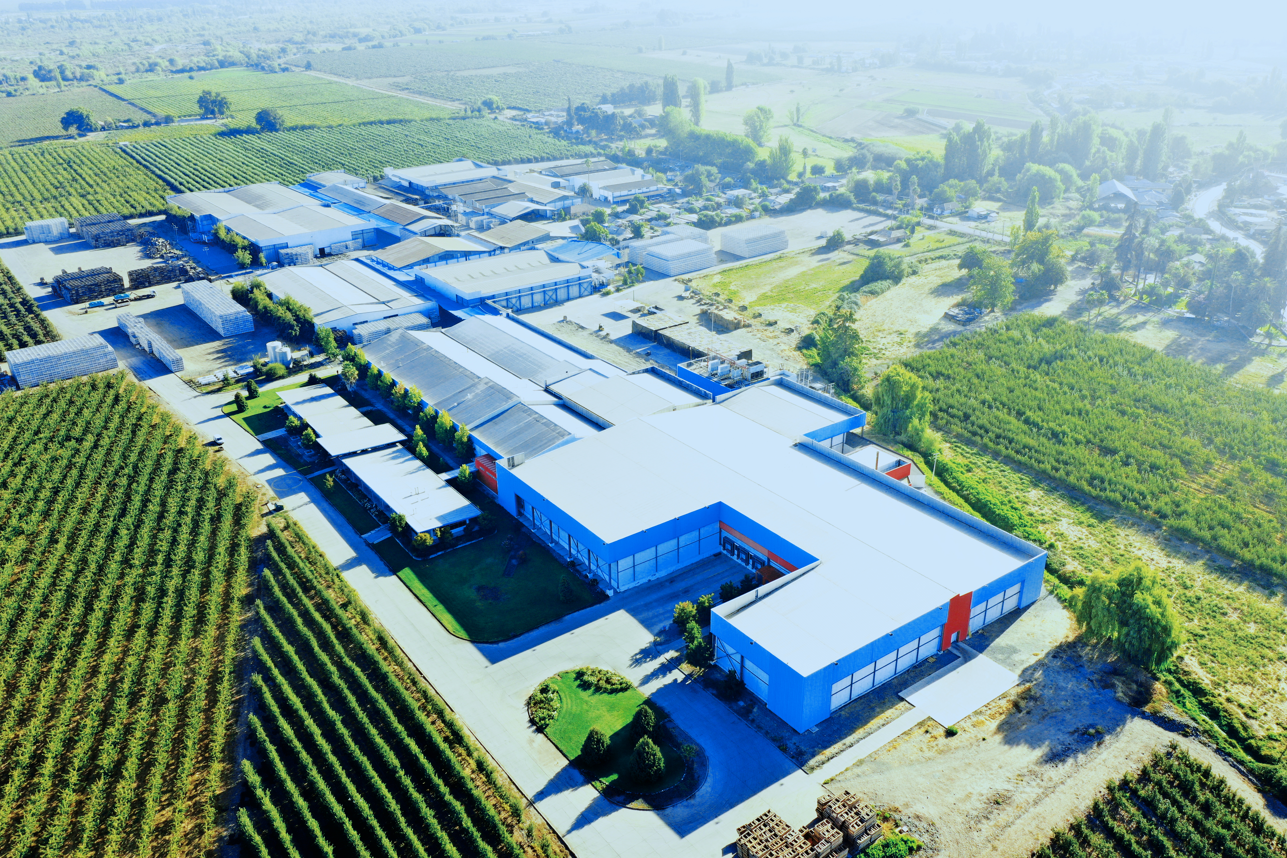 Packing de manzanas  cerezas Dosal