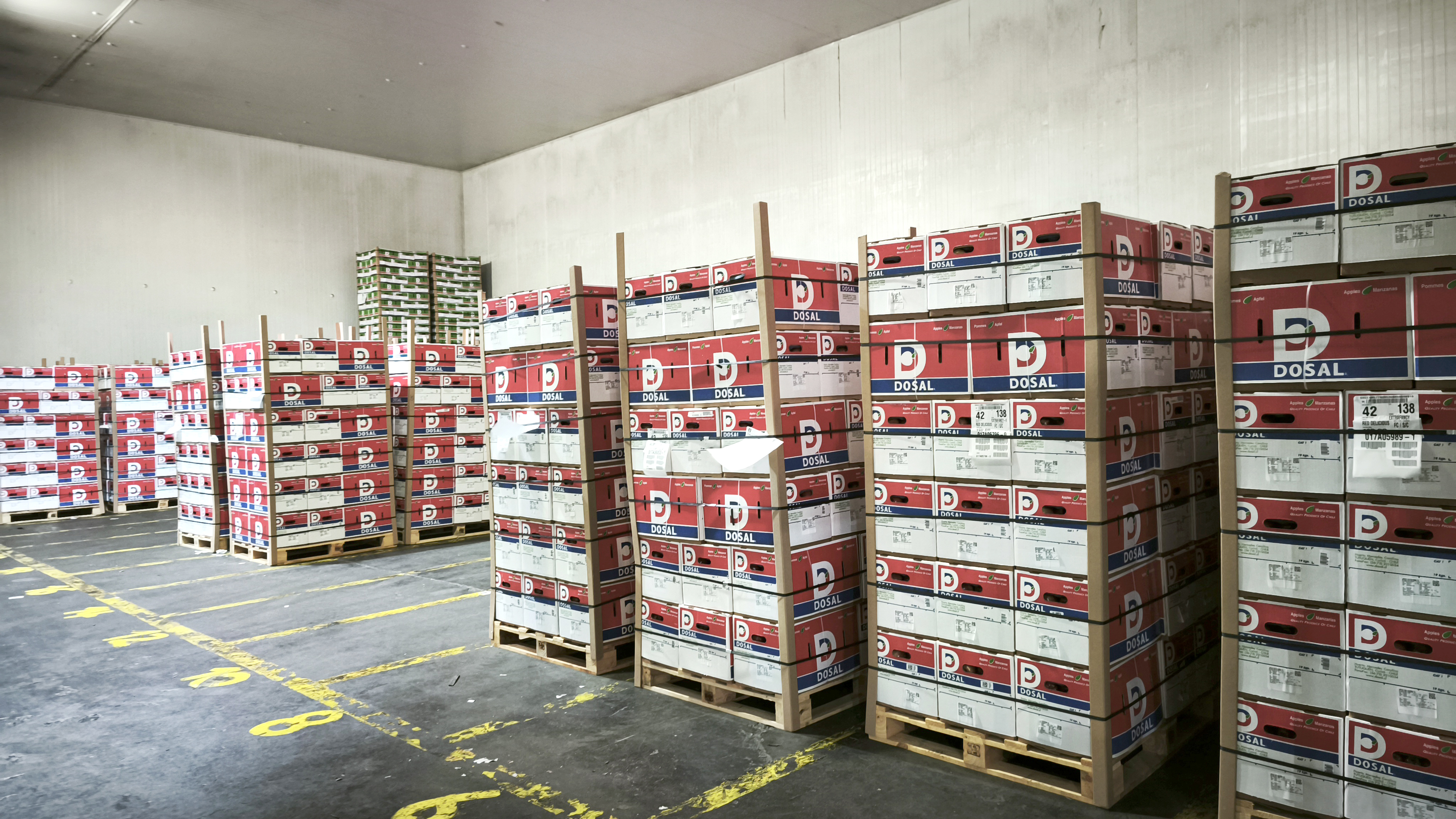 Cámara de Atmósfera Dinámica dosal