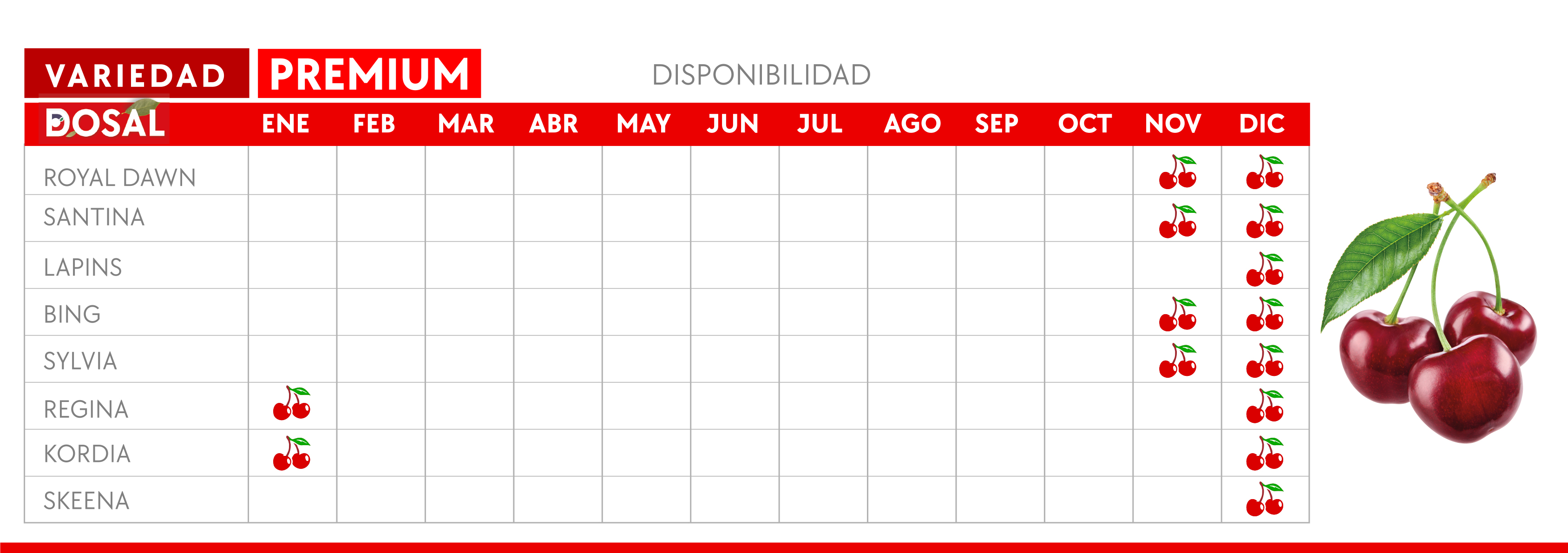 Exportación cherries premium Frutícola Dosal