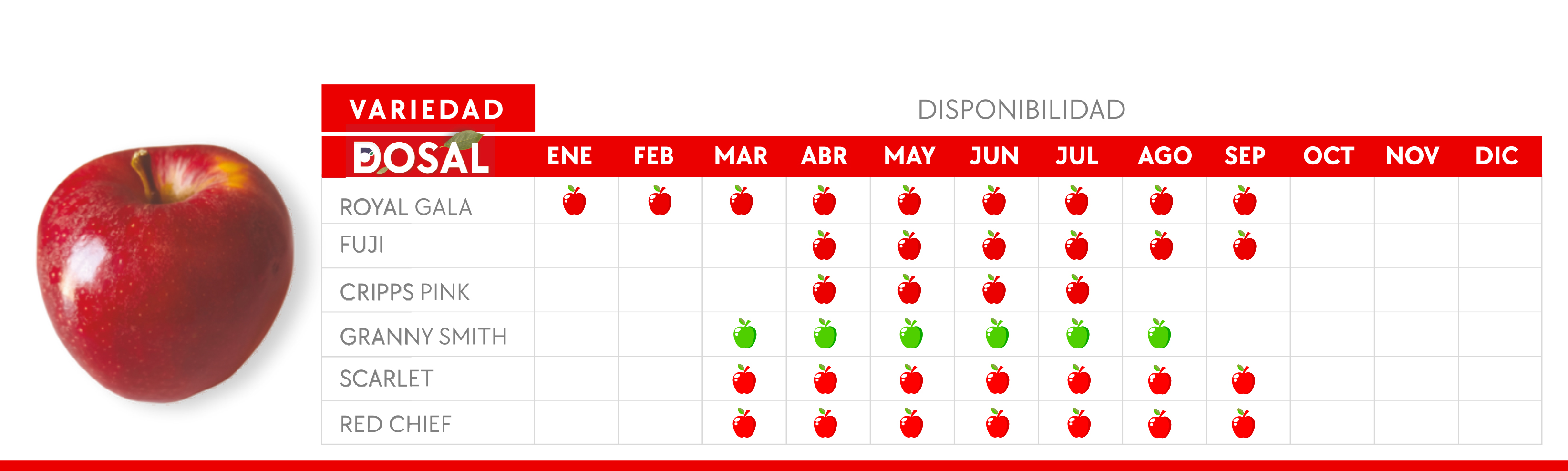 exportación de manzanas apples Dosal